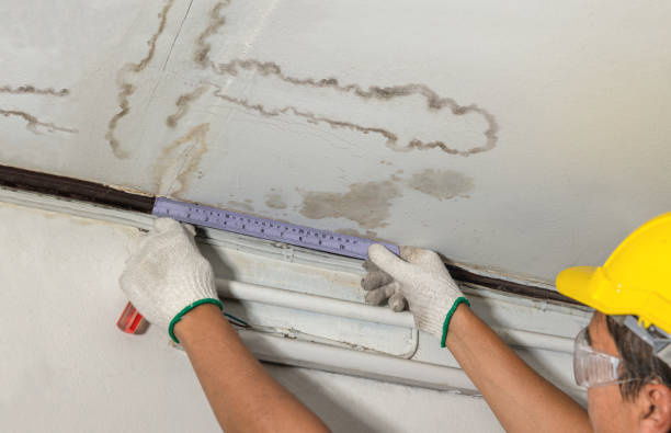 Reliable Burst Pipe Cleanup contractor in Washingtonville, OH by Water Damage Irwin
